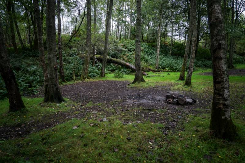 Woodland Tent Pitch 7 (3.5m x 3.5m)