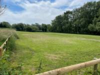 Grass Pitch