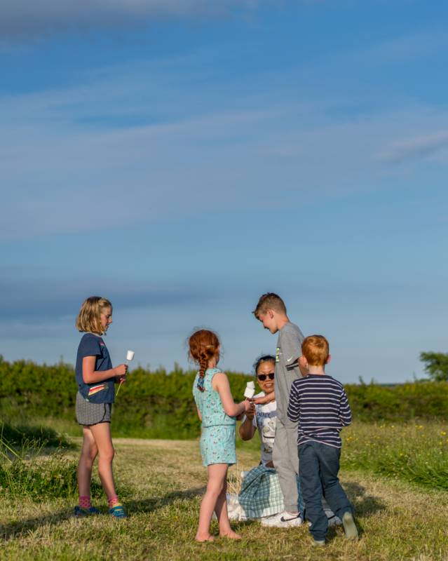 NonElectric Standard Grass Pitch