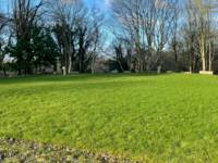 The Glade - family grass pitch