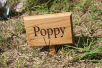 Poppy