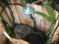Yurt