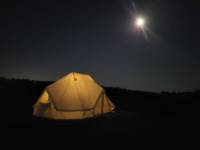 Alpaca View Bell Tent