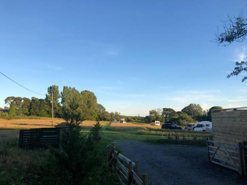 Electric Grass Pitch