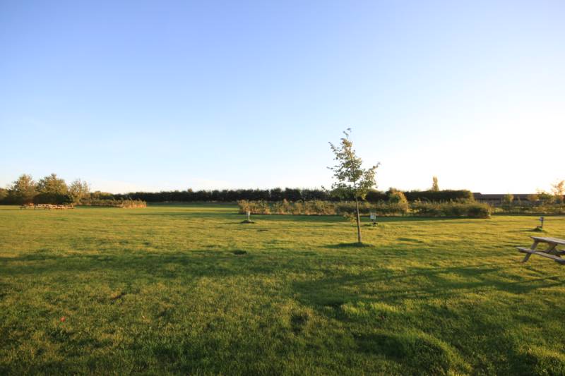 Grass electric pitch B2