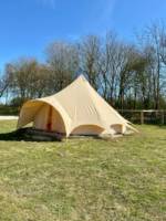Sycamore - Bell Tent