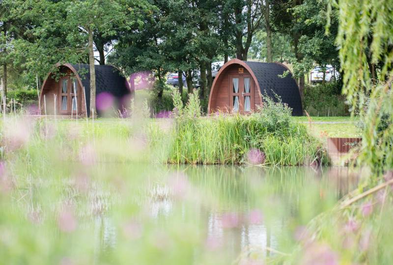 Timber glamping pods at Hanworth Country Park.