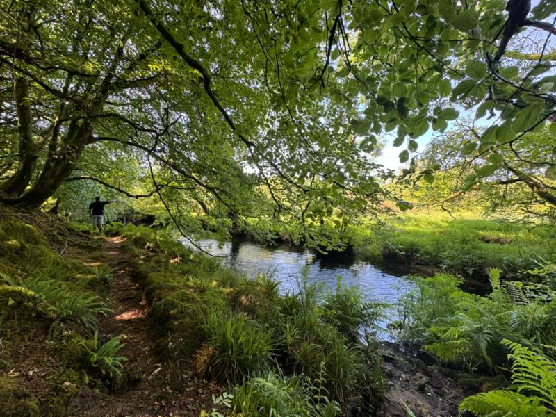 Dog Friendly Camping for 1-6 people