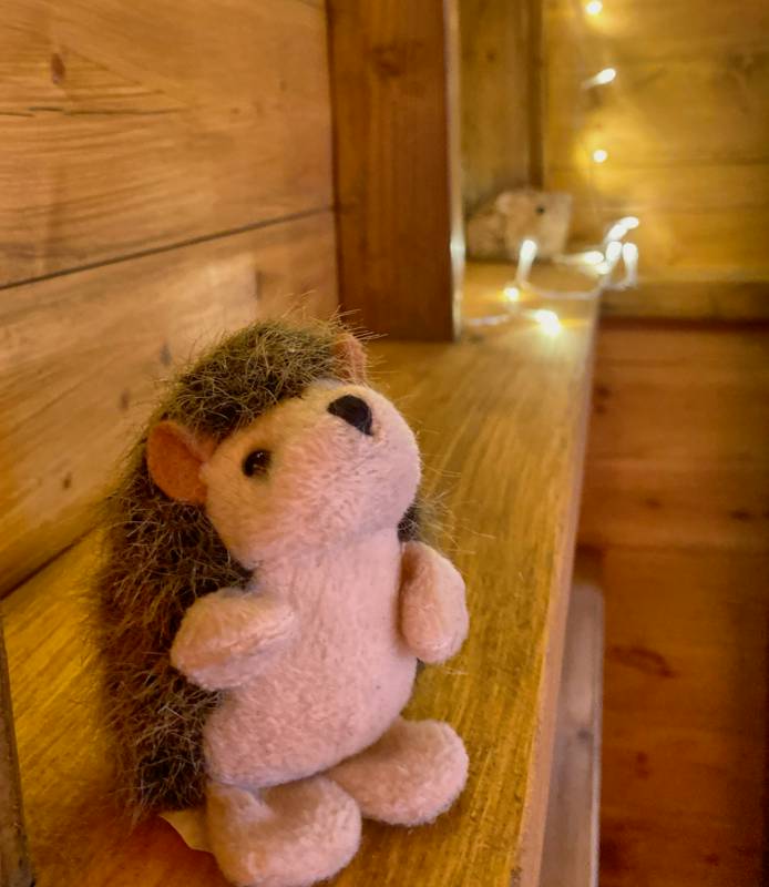 Hedgehog Hideaway