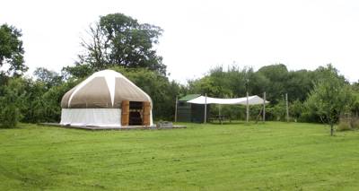 Beech Yurt