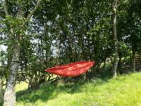 Ardwyn Pod