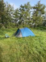 Woodland Meadow Pitch