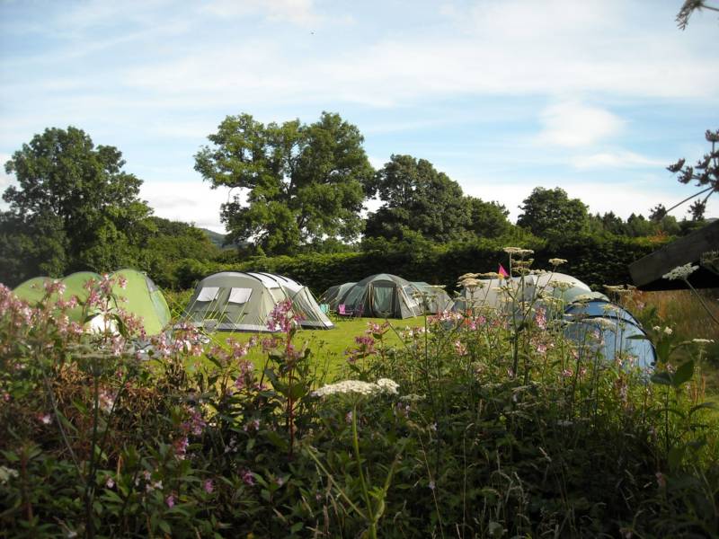 Grass Camping Pitch