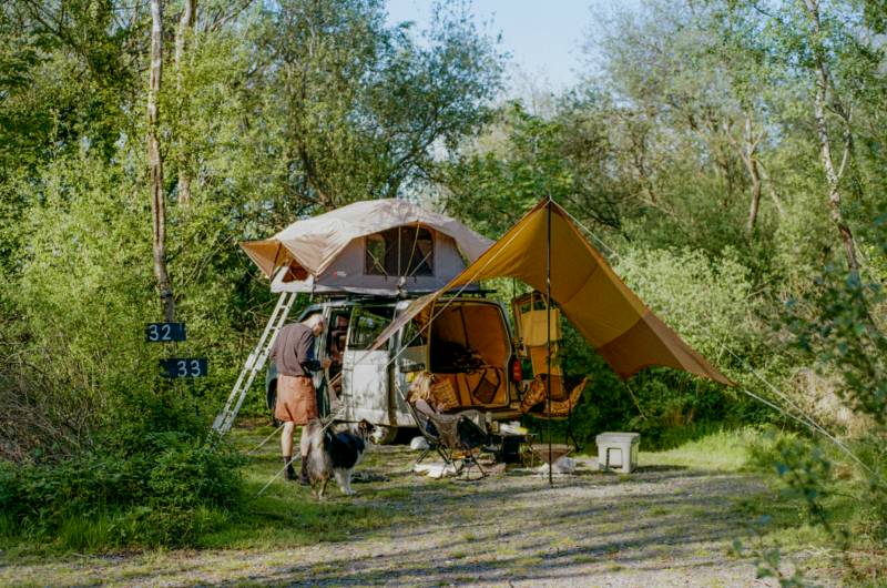 Woodland- Campervan Pitch