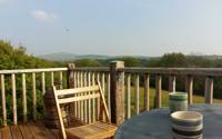 The Painted Yurt