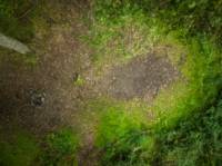 Woodland Tent Pitch 3 (3.5m x 3.5m)