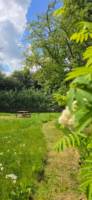 Coppice Pitch 25