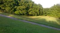 Meadow Field Pitch