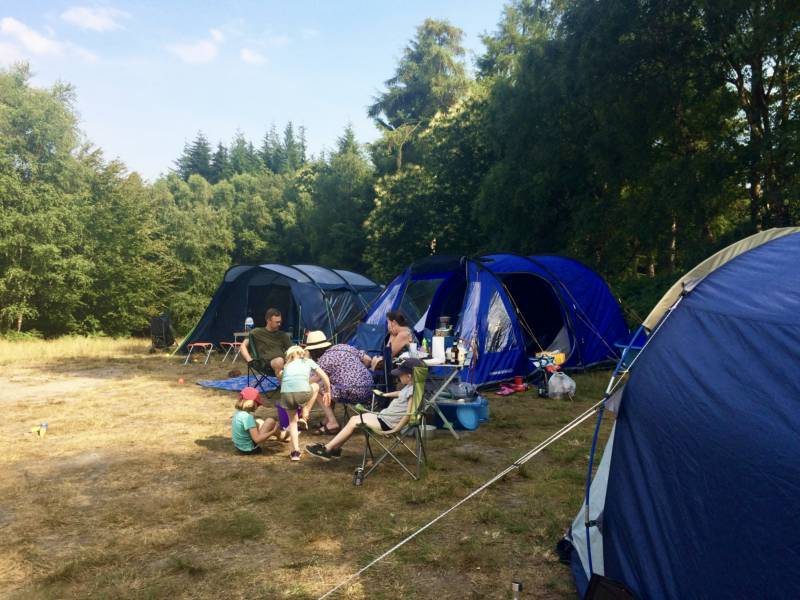 Group Forest Tent Pitch