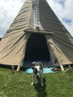 Sea Tipi - Front Field Camping