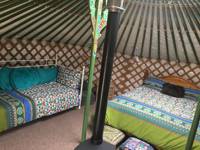 Bertie the Yurt