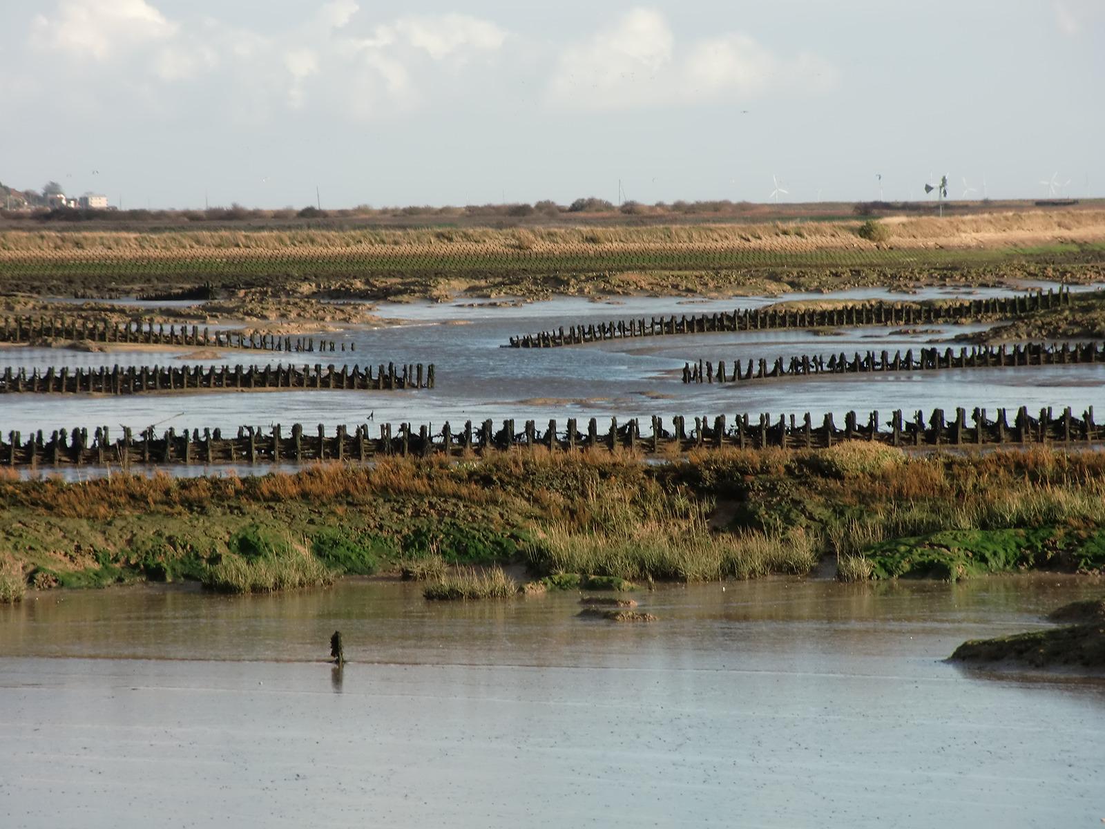 Mersea Island Camping | Campsites on Mersea Island, Essex