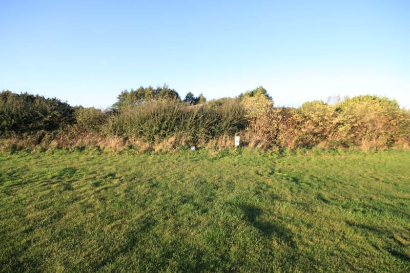 Grass electric pitch A6