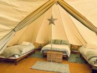 Sycamore - Bell Tent