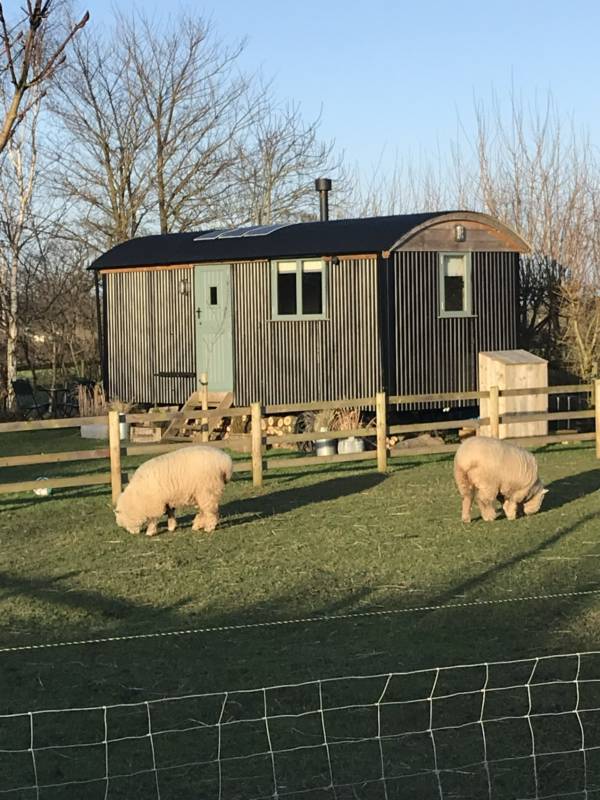 Shepherd's Hut