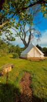 Nettle Bell Tent