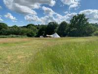 Thistle Bell Tent