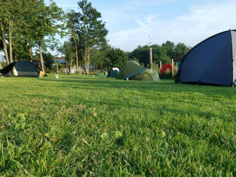 Family Pitch for larger tents / Campervan