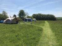 Grass Pitch