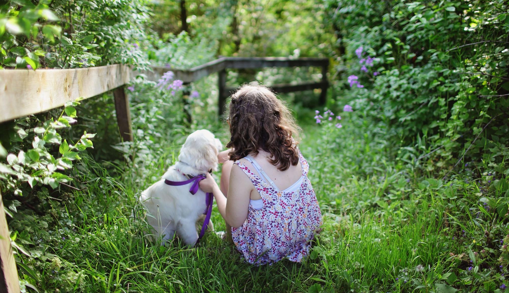 Dog-friendly Glamping Sites – Glamping with your pet – Cool Camping