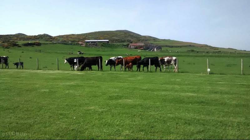 Grass Pitch - No Electric