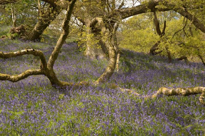 Hampshire Holidays – Accommodation and Places to Stay in Hampshire I Cool Places