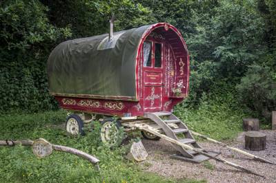 Blackberry Wood, East Sussex