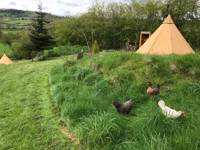 Tipi Mary