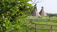 Tipi Kangee
