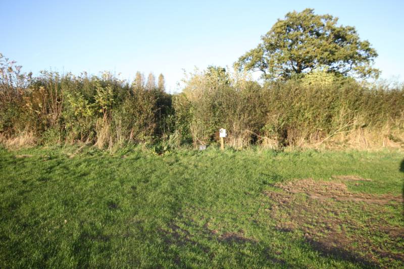 Grass electric pitch A9