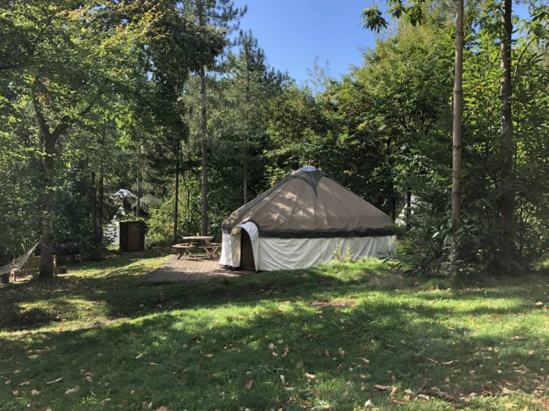 Woodpecker Yurt