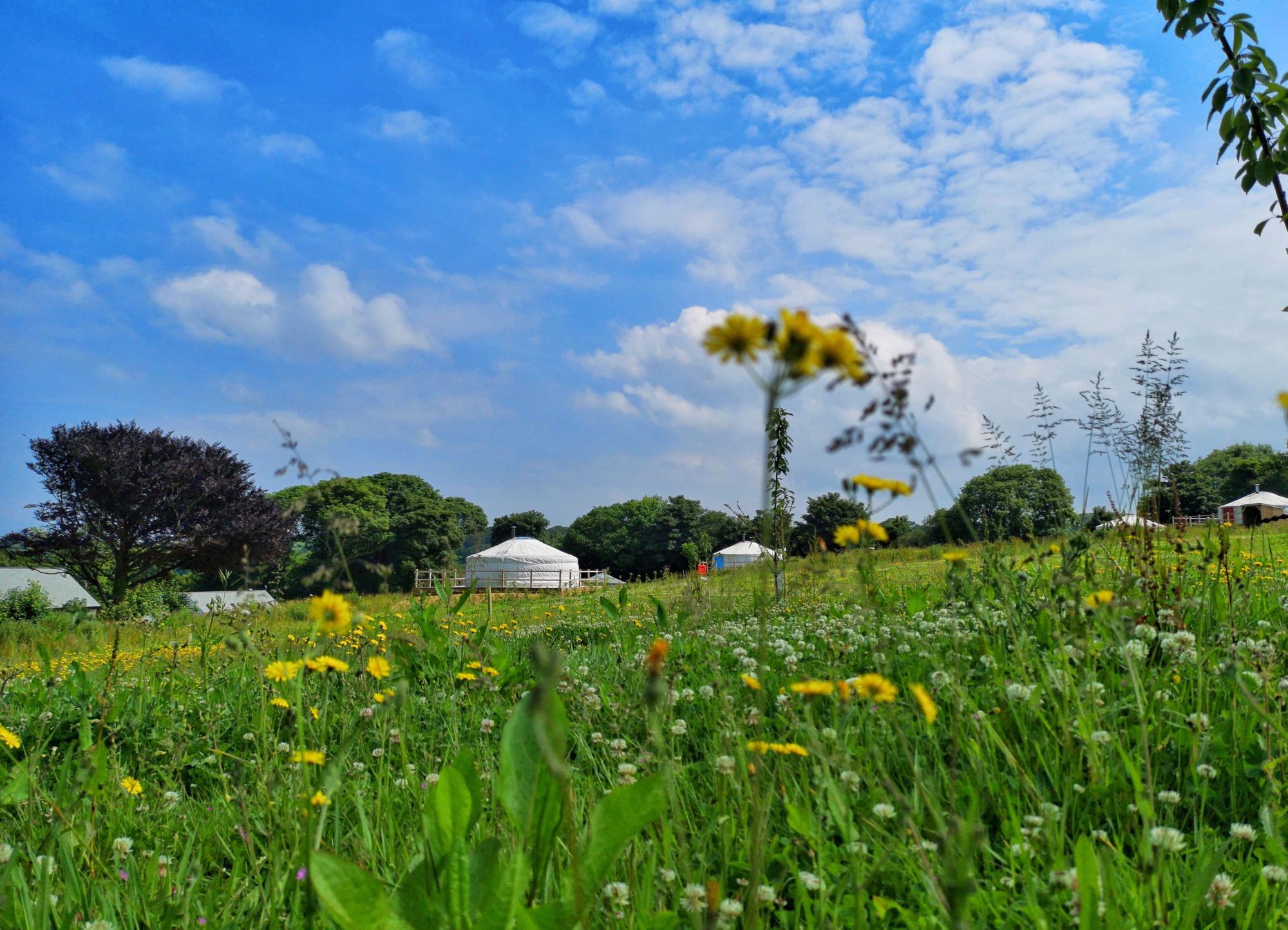 Glamping in Newquay – Glampingly