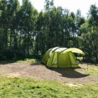 Forest Tent Pitch