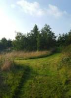 Bell Tent Sleeps upto 5