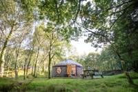 Large yurt