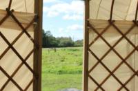 Yurt