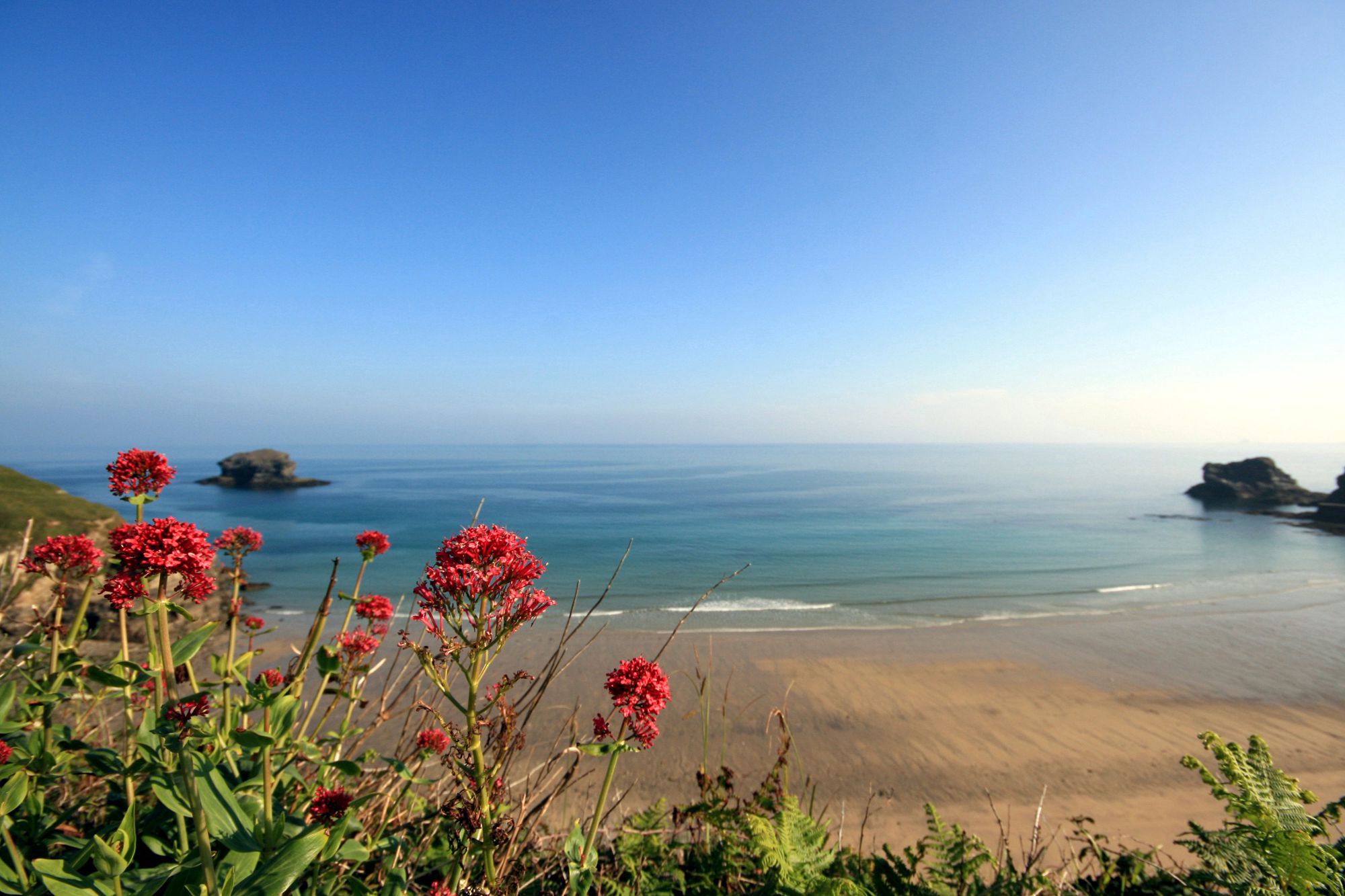 The 10 Best DogFriendly Beaches in Cornwall