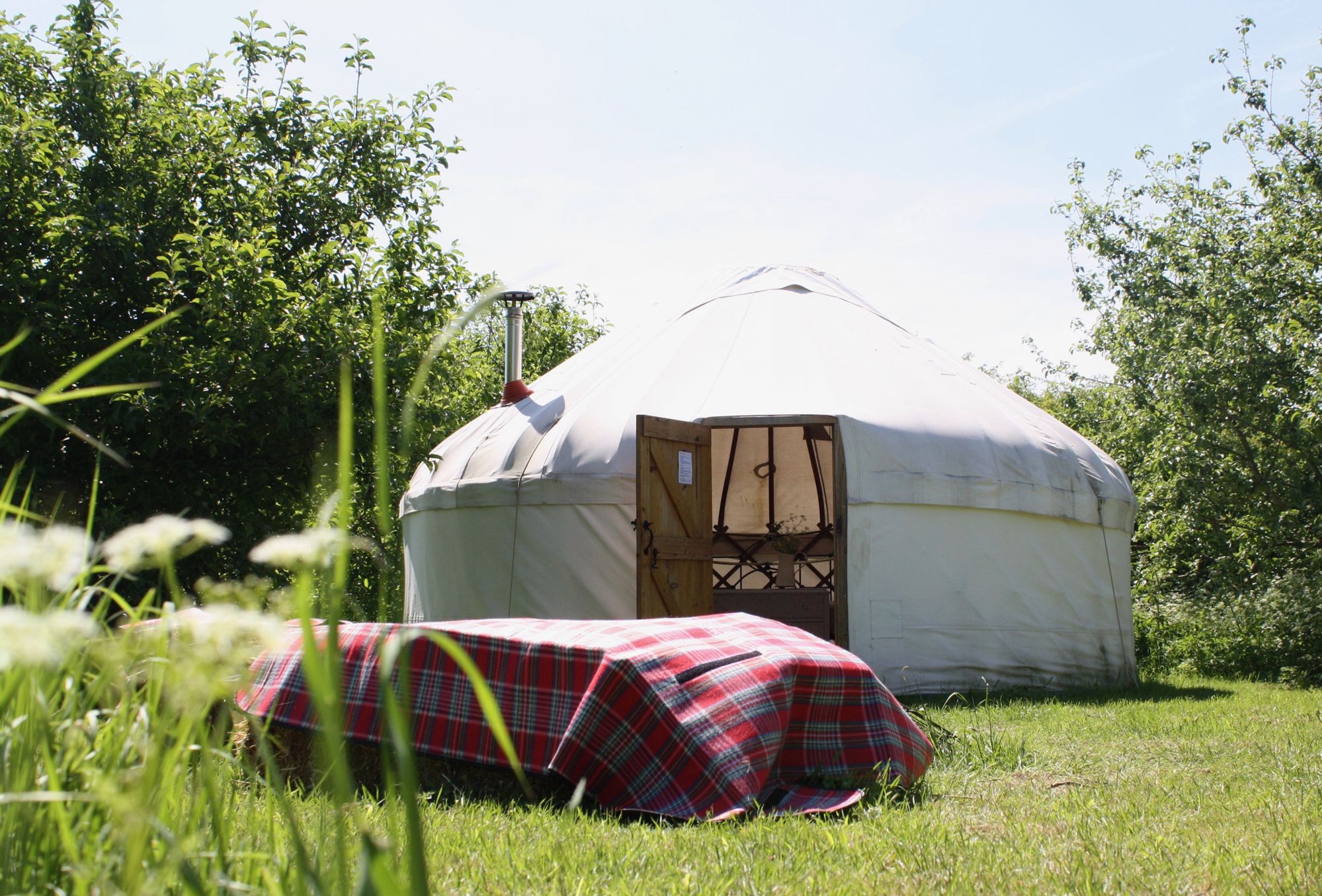 Secluded yurt glamping near Cambridge 2 at The Orchard at Fen End Farm