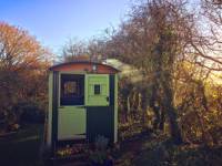 Elderflower Hut