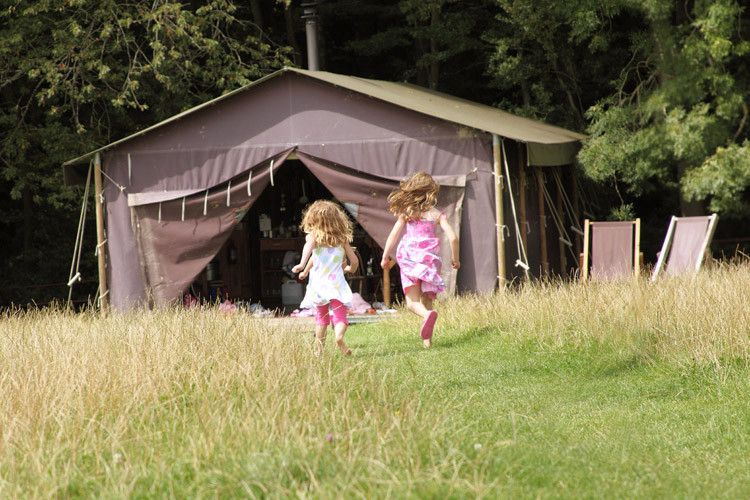 Feather Down Farm campsites